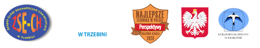 II miejsce w Małopolskim Konkursie „Stół Pięknie Nakryty-Zima w kuchni i na stole” w Krakowie | ZSECH